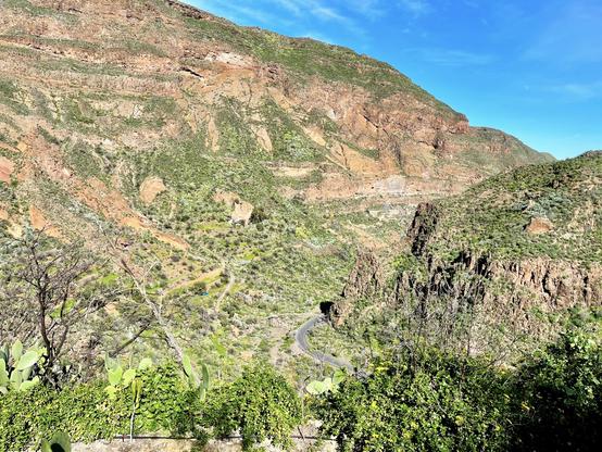 This is one of my favourite hiking spots in the island: Barranco de Gauayadeque. Spectacular scene with high mountains, an exuberant green lush all around, trees all over the place, even making their way in between the rocks and with a road to get there appearing much much smaller than what it is right at the bottom of the gorge. Breathtaking to no end and physically not too intense. A gorgeous place to heal both the body and the soul away from the madness 😍👍🏻