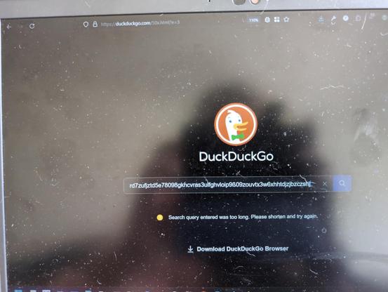 Screenshot von DuckDuckGo mit zufälligen
 Zeichen im Suchfeld