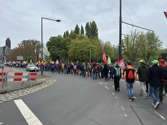 A long line of marchers on the road