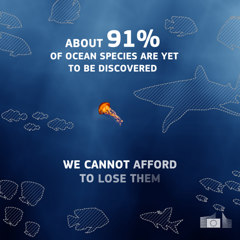 A deep blue image with sketched outlines of various marine life, including several types of fish and a shark, scattered across the background. In the centre, a vibrant orange jellyfish stands out against the darker backdrop. Above the jellyfish, large white text reads "ABOUT 91% OF OCEAN SPECIES ARE YET TO BE DISCOVERED". Below the jellyfish, the text continues with "WE CANNOT AFFORD TO LOSE THEM" in bold white letters. In the bottom right corner, the logo of the European Commission is visible.