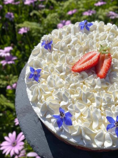Fraisier