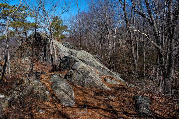 Large glacial rock outcrop surrounded by winter forest.