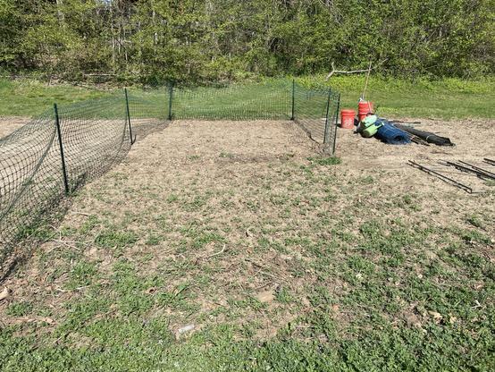 Fenced garden plot covered with hundreds of happy rosettes.