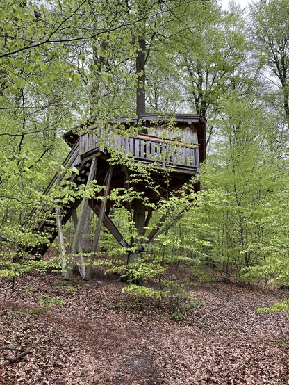 Bild eines Baumhauses im Wald.