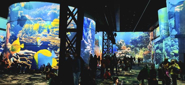 Videoinstellation mit Korallenriff und bunten Fischen in einer großen Industriehalle