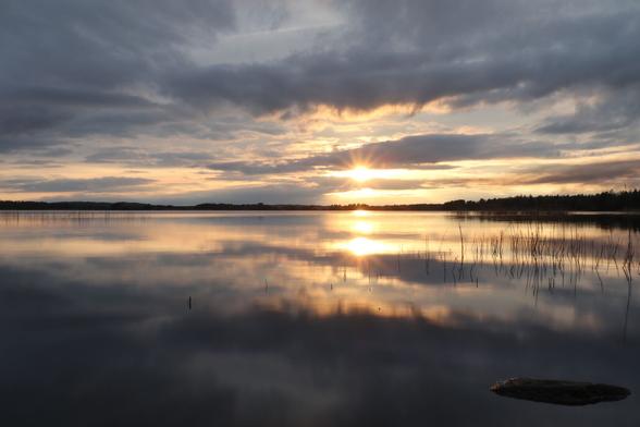 Sun low over the horizon breaking through a dramatic cloud cover over the surface of a lake. A stone and some reeds in the water to the right, dense forest on the far shore.