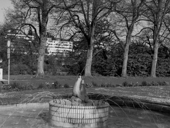 Black and white out-of-focus photo of a fountain in a park-like environment.
