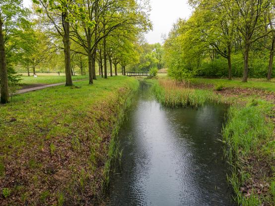 A serene park with a stream, trees, and a small bridge in Huizen, Netherlands.