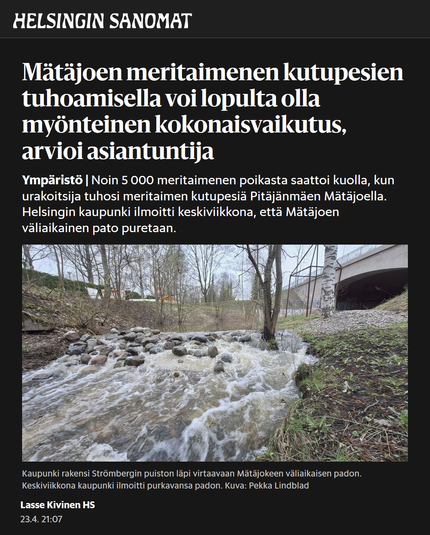 Mätä­joen meri­taimenen kutu­pesien tuhoamisella voi lopulta olla myönteinen kokonais­vaikutus, arvioi asiantuntija

Ympäristö | Noin 5 000 meritaimenen poikasta saattoi kuolla, kun urakoitsija tuhosi meritaimen kutupesiä Pitäjänmäen Mätäjoella. Helsingin kaupunki ilmoitti keskiviikkona, että Mätäjoen väliaikainen pato puretaan.

Kuva: 
Patouksen yli vIrtaava Mätäjoki 

Kuvateksti:
Kaupunki rakensi Strömbergin puiston läpi virtaavaan Mätäjokeen väliaikaisen padon. Keskiviikkona kaupunki ilmoitti purkavansa padon. Kuva: Pekka Lindblad

HS 2025-0423