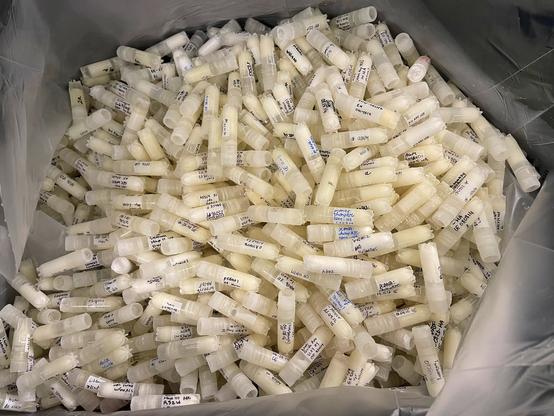 A pile of clear tubes with screw caps in a sturdy bag.  There is writing on each tube with codes to their content
