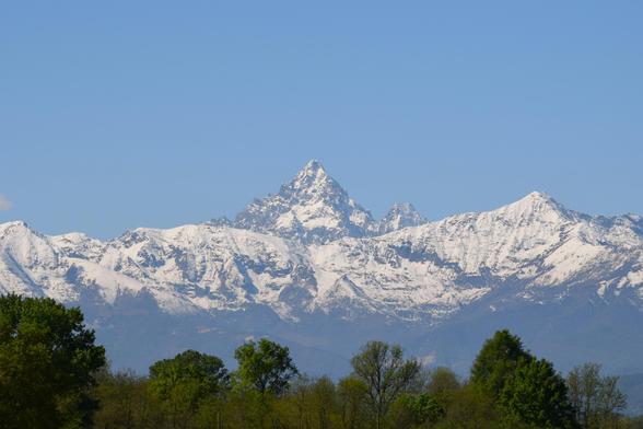 This photo shows a view of snow-covered mountains with a blue sky above. In the foreground, there are green trees, adding contrast to the snowy peaks.