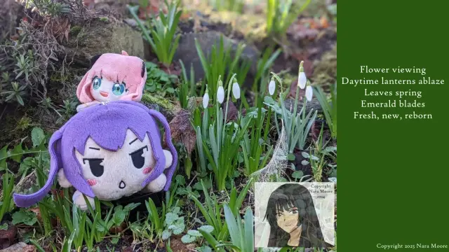 Two plushies amid early spring growth. White snow drops. 
Poem

Flower viewing
Daytime lanterns ablaze
Leaves spring
Emerald blades
Fresh, new, reborn