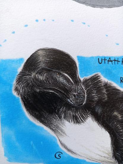 Utahraptor head