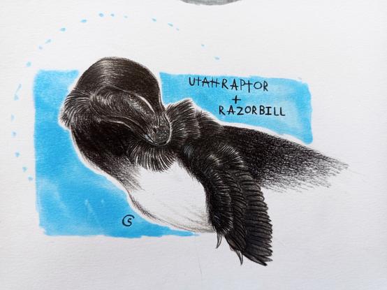 Utahraptor + Razorbill