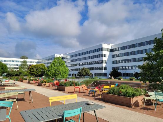Grande terrasse arborée au milieu de bâtiments d'entreprises modernes et vitrés