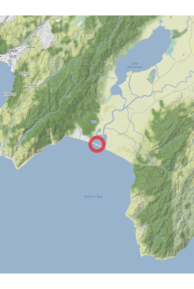 Map of the location of the observation: Ocean Beach 5773, New Zealand, (latitude: -41.39, longitude: 175.12).