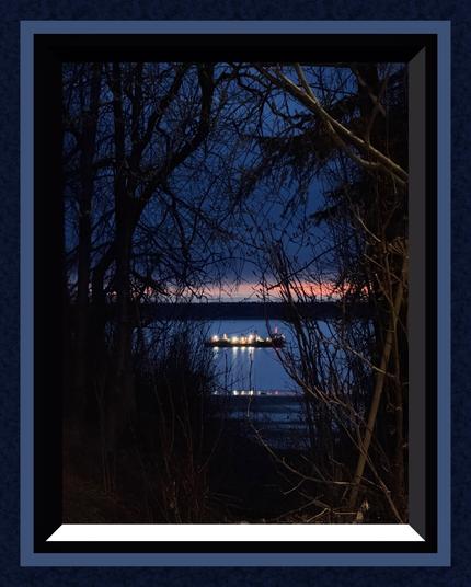 Night time scene. A barge on the bay decorated with lights. Seen through a break in the trees. Branches reaching toward the boat.