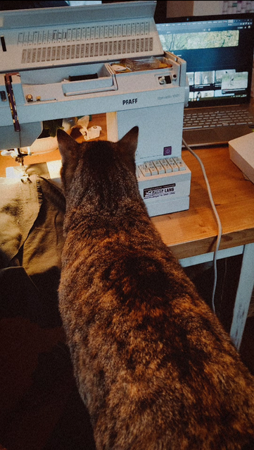 A tabby cat with orange patches investigating a project on a vintage 80s sewing machine, also on the wooden table is a laptop with a YouTube video playing and some sewing supplies.