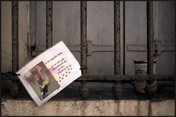 Photo en couleurs d'un rebord de fenêtre décrépi avec une grille grise apparemment bien solide devant des volets clos également gris. Sur la grille est accroché un écriteau plastifié mais délavé quand même sur lequel figure la photo d'un chat assoupi et le texte:  Je m'appelle Oslo.
Je ne suis pas abandonné ou perdu,
j'habite ici.
Et quelques dessins de pattes de chat sous le texte.
Le tout exprime une assez forte désolation.

Colour photo of a decrepit windowsill with an apparently solid grey grille in front of closed grey shutters. On the grille hangs a plastic-coated but faded sign with a photo of a dozing cat and the text: My name is Oslo.
I'm not abandoned or lost,
I live here.
And a few drawings of a cat's paws under the text.
The whole expresses a rather strong sense of desolation.