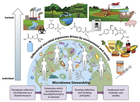 An image of a diagram figure from the publication. Microbiome stewardship as a concept and framework for ensuring human and planetary health supported by microbial functions. Human microbiomes are constituted from our environment, which has determinants based largely on societal systems (e.g., agriculture and food systems, built environment, and health-care accessibility) that operate beyond individual choice and behavioral interventions.