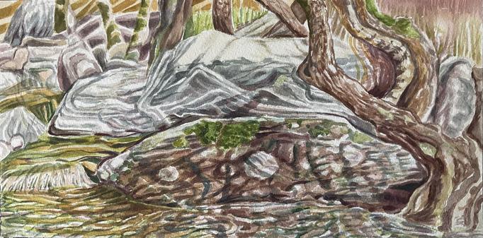 Watercolor 30x15cm om Arches rough paper