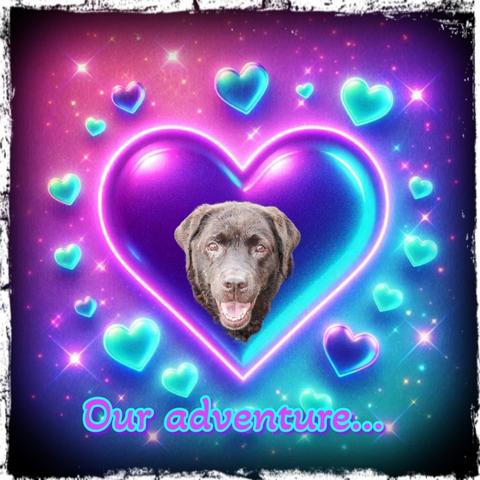 "A vibrant, dreamy image featuring a glowing, neon-style background filled with sparkling stars and various sizes of heart shapes in hues of purple, pink, blue, and teal. At the center is a large, radiant heart that fades from deep purple to turquoise, glowing with electric light. Inside this central heart is the cheerful, smiling face of a black Labrador Retriever, edited into the composition so it looks lovingly framed by the heart. Surrounding the main heart are many smaller, glowing hearts floating throughout the background. Along the bottom of the image, in playful neon blue and pink outlined text, are the words: 'Our adventure...'. The entire image is bordered by a distressed, grunge-style black and white edge, adding contrast to the otherwise magical, colorful aesthetic."