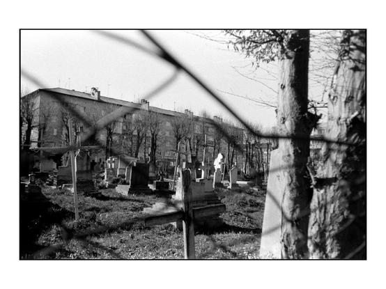 The image is a black and white photograph depicting a cemetery viewed through a chain-link fence. In the foreground, the fence's diamond-shaped pattern is prominent, with a tree trunk partially obscuring the view. The cemetery is filled with various gravestones, some upright and others leaning, with different shapes and sizes, including crosses and rectangular slabs. The grass is uneven, with patches of bare earth visible. In the background, a row of apartment buildings with flat roofs and multiple windows can be seen, with bare trees lining the front. The sky is overcast, and the overall atmosphere is somber.