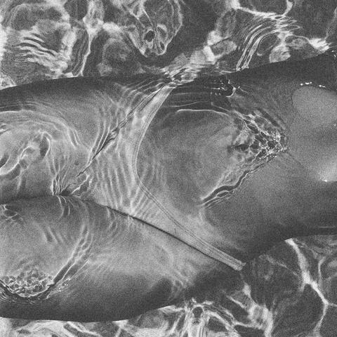 Unterwasseraufnahme eines Körpers in einem Bikini, durch Wasserreflexionen verzerrt