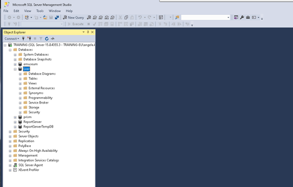 Screenshot from SQL Server Management studio navigation tree. The databases file folder is opened so you can see all the databases, the database "Leer" is enhanced so you can see the menues underneath it.