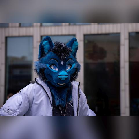 Auriga in their fursuit at NordicFuzzCon 2025