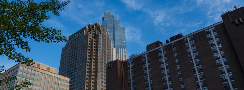 The tops of three buildings, plus some encroaching leafy tree branches, all interact in a wide 65:24 aspect ratio photo.