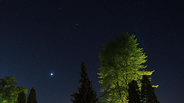 Angestrahlter Baum mit Nachthimmel voller Sterne.