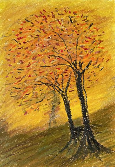 Arbor