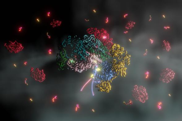 Mehrfarbige spiralförmige lange Fäden, die proteine darstellen. Foto: Anuj Kumar
