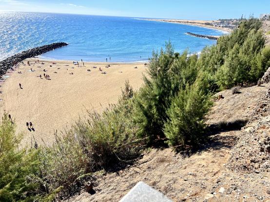Aaaah, the weekend! I have been waiting for you, my dear friend 😍👍🏻 Snap shot of Playa del Ingles beach from January 2025. A gorgeous winter day with blue skies all around, a lovely blend of colours between the intense blue of the ocean with the golden sand from the beach and a few maritime pine trees watching over the scene. On the far back, in the horizon, the majestic sand dunes of Maspalomas. Pure bliss anticipating the weekend ahead, don't you think? 👌🏻🥰