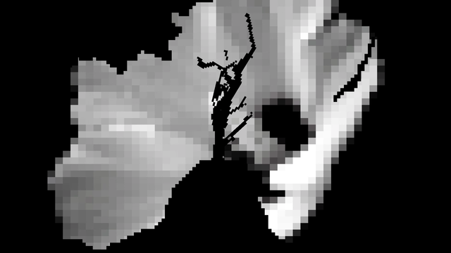 A scraggly black tree in front of a pixelated video flower, surrounded by black