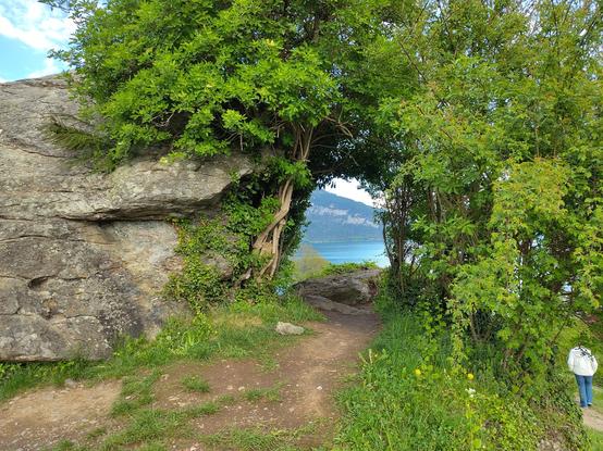 View through an opening in bushes to Lake Thun. On the left the to the locals iconic 'Katzenstein'.
