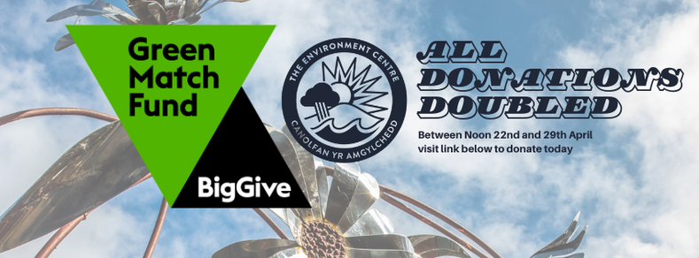 Photo of sculpted metal flowers againt a blue cloudy sky. The words Green Match Fund in a green triangle and Big Give in a black triangle are superimposed over the photo along with the Environment Centre's logo and the words All Donations Doubled.