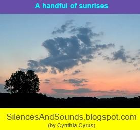 a blue-pink sunrise with a single tree to the left; the blog post title is "A handful of sunrises"