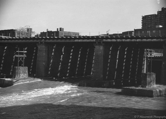 Nikon F2 w/50mm f/1.4 Nikkor on Foma 400 (@200)