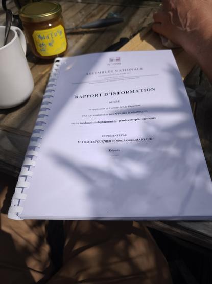 Rapport d'information des députés Charles Fournier et Sandra Marsaud.