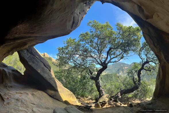 In the foreground, the rugged cave entrance frames the view like a natural window. Jagged rocks and rough textures create a contrast with the soft light filtering in from outside. A large, gnarled tree stands proudly just beyond the cave, its branches stretching out like welcoming arms. Its leaves are a mix of deep greens and golden yellows, hinting at the arrival of autumn. Sunlight dapples the ground, casting playful shadows and illuminating patches of lush grass. Beyond the tree, a serene valley unfolds, with rolling hills covered in a patchwork of greenery. The distant mountains rise majestically against a backdrop of a crystal-clear blue sky, dotted with a few fluffy clouds.
