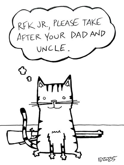 a striped cat sits in front of a rifle on the ground and thinks "RFK jr., please take after your dad and uncle."