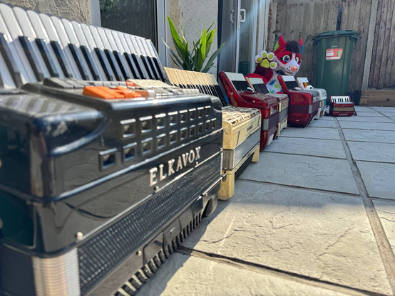 Seven accordions laid out in a row on a patio with a fullsuiter at the end waving