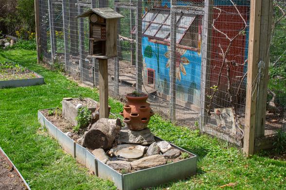 View of my back yard with focus on a rectangular raised bed filled with a cement planter, an insect hotel on a post, a rotting log, a terracotta strawberry planter, and a sunken bird bath surrounded by large gray stones.