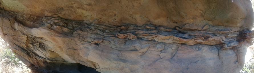 a panoramic view of a rock formation, with a slightly cracked but mostly smooth and wavy stratum through the middle, almost resembling petrified wood
