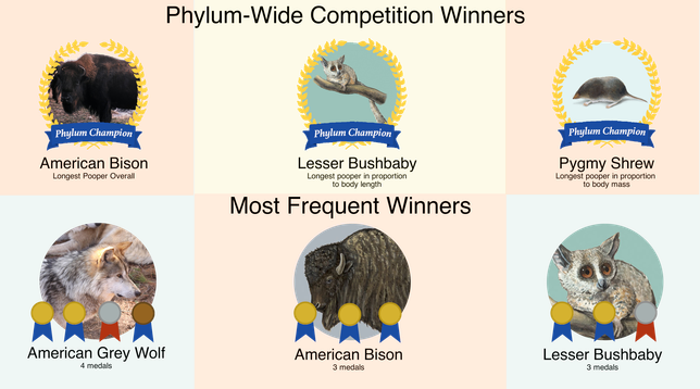 medal board for the poop olympics
bison, pygmy shrew bushbaby, grey wolf...