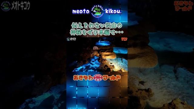 #Shorts 超絶自然の神秘✨️ 玉泉洞！おきなわワールド！沖縄県南城市🌺
