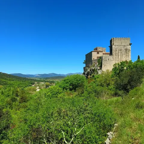 Vue sur les Cévennes et l'Aigoual