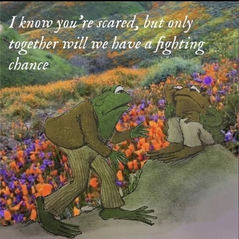 I know you're scared, but together we got a fighting chance

*frog meme*